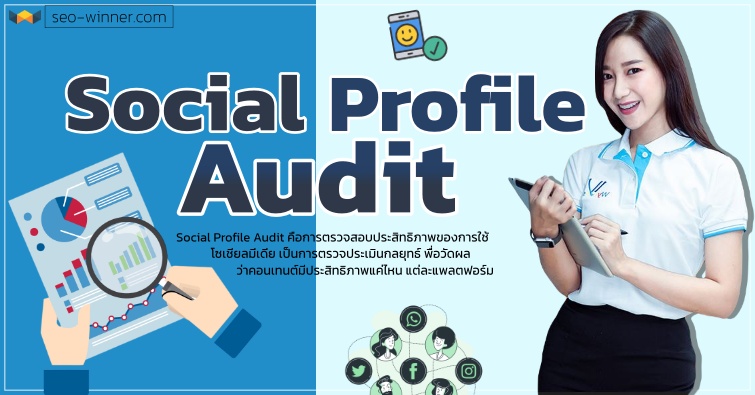 Social Profile Audit by seo-winner.com